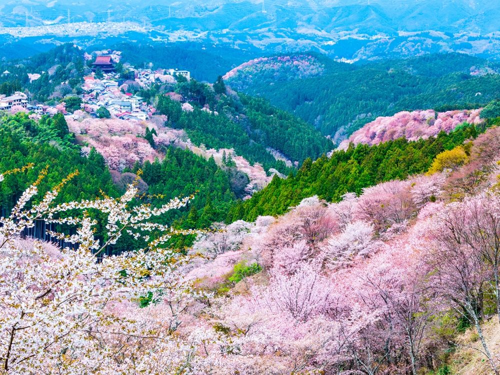 見どころ・施設吉野熊野国立公園国立公園一覧国立公園に、行ってみよう！環境省