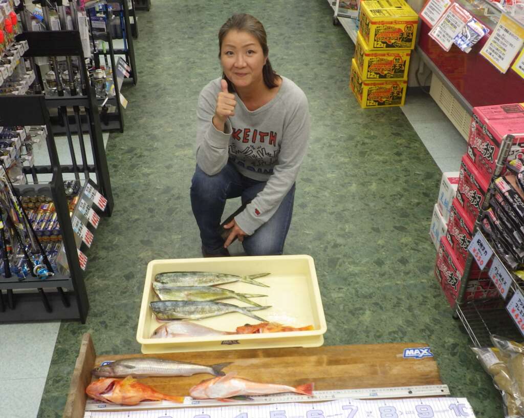 新居公開 荒れ果てたボロ小屋でしばらく生活することになりました。 -