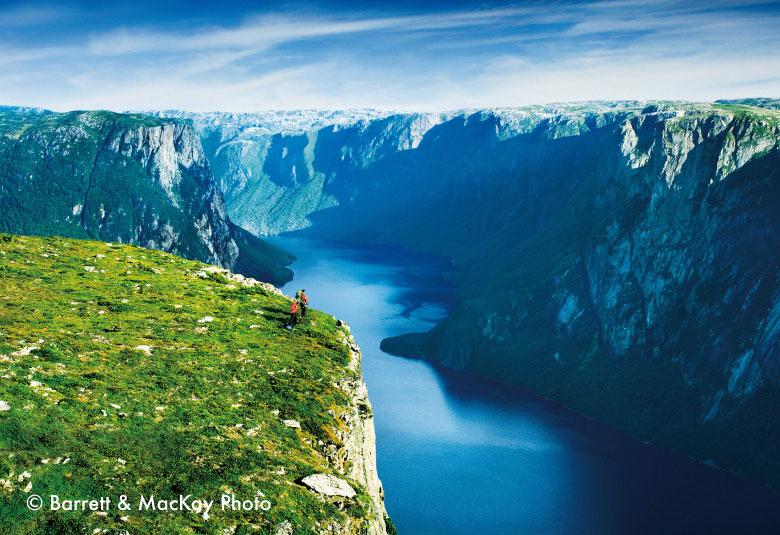 ニューファンドランド 犬 名前の意味と由来：伝統と魅力的な選び方ガイド