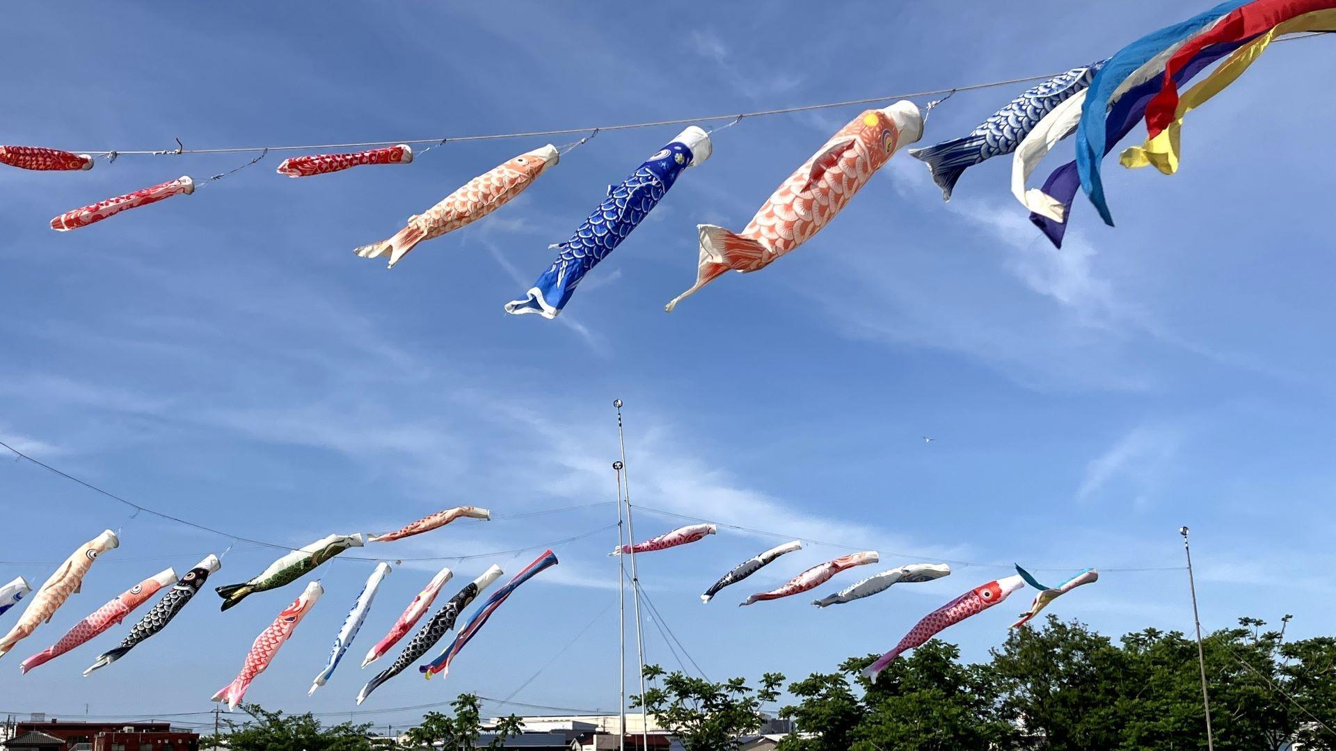 花桃と菜の花の共演 --- 八潮市 中川やしおフラワーパーク