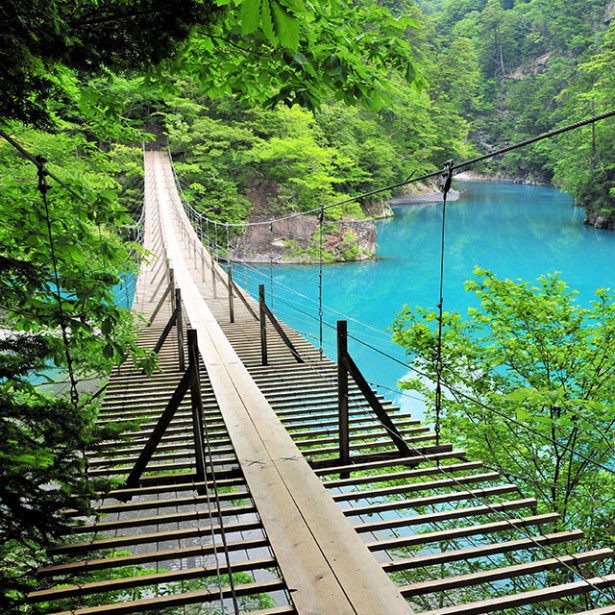 静岡・三島の最長400m人道吊り橋で絶景体験