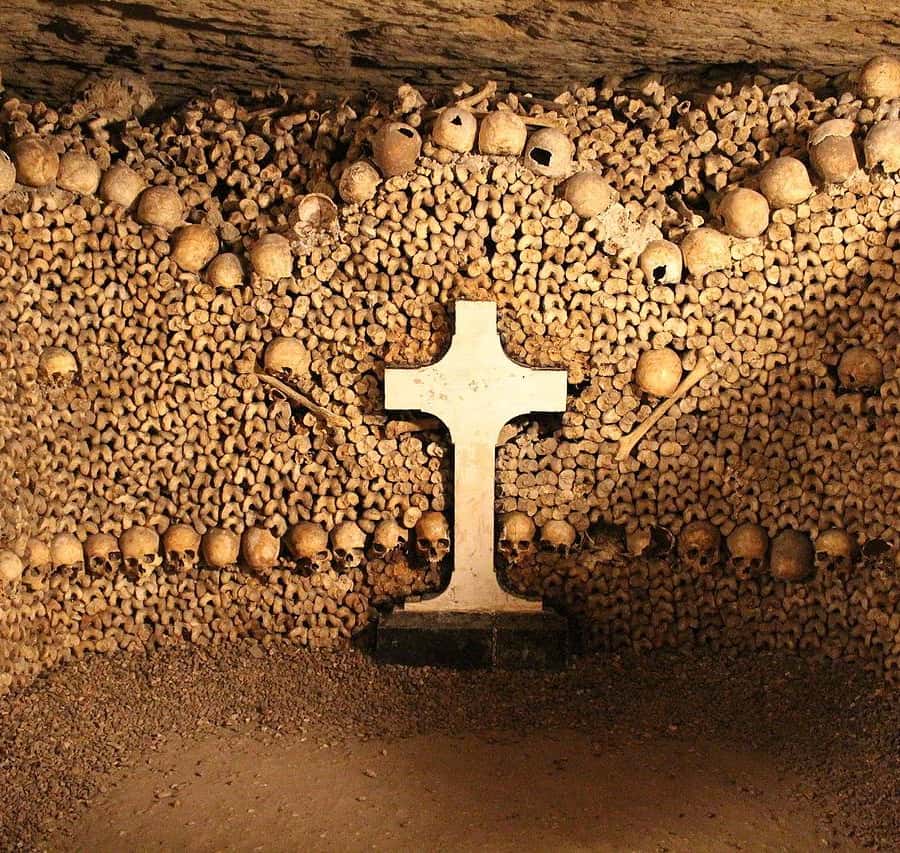 どうしてパリの地下に骸骨が？カタコンブ・ド・パリの歴史的背景を紹介Pokke「ポッケ」
