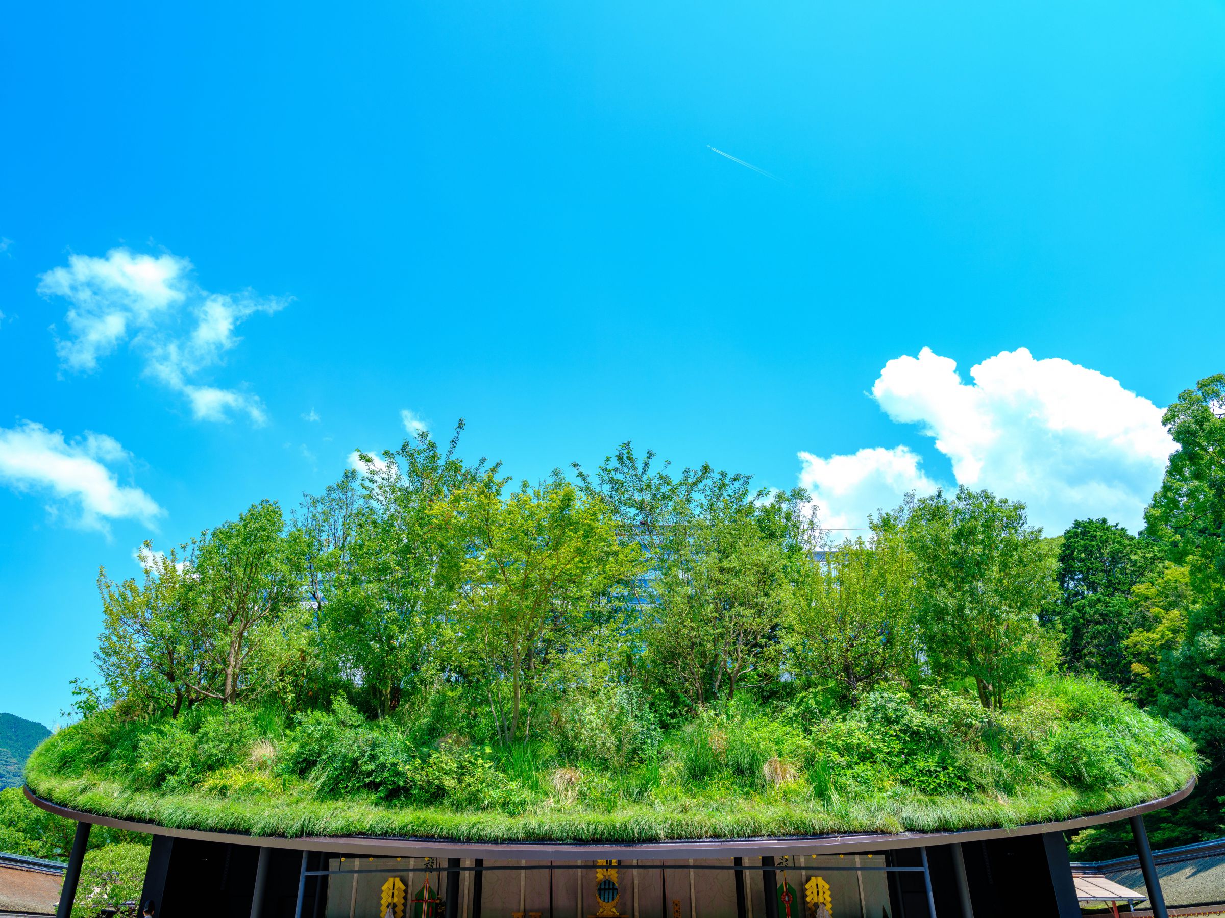 藤本壮介展―太宰府天満宮仮殿の軌跡― - デザイン・アートの展覧会