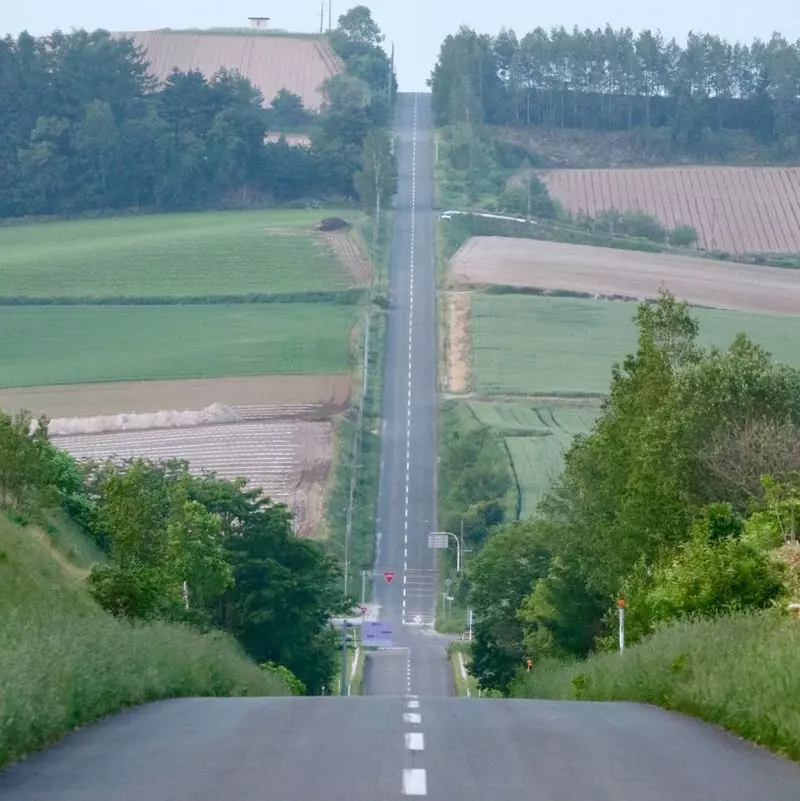 ジェットコースターの路 北海道富良野写真素材6856640- フォトライブラリ