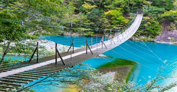 大阪府茨木市「ダムパークいばきた」に日本最長の歩行者用つり橋 バンジージャンプも OSAKA STYLE ｄメニューニュース