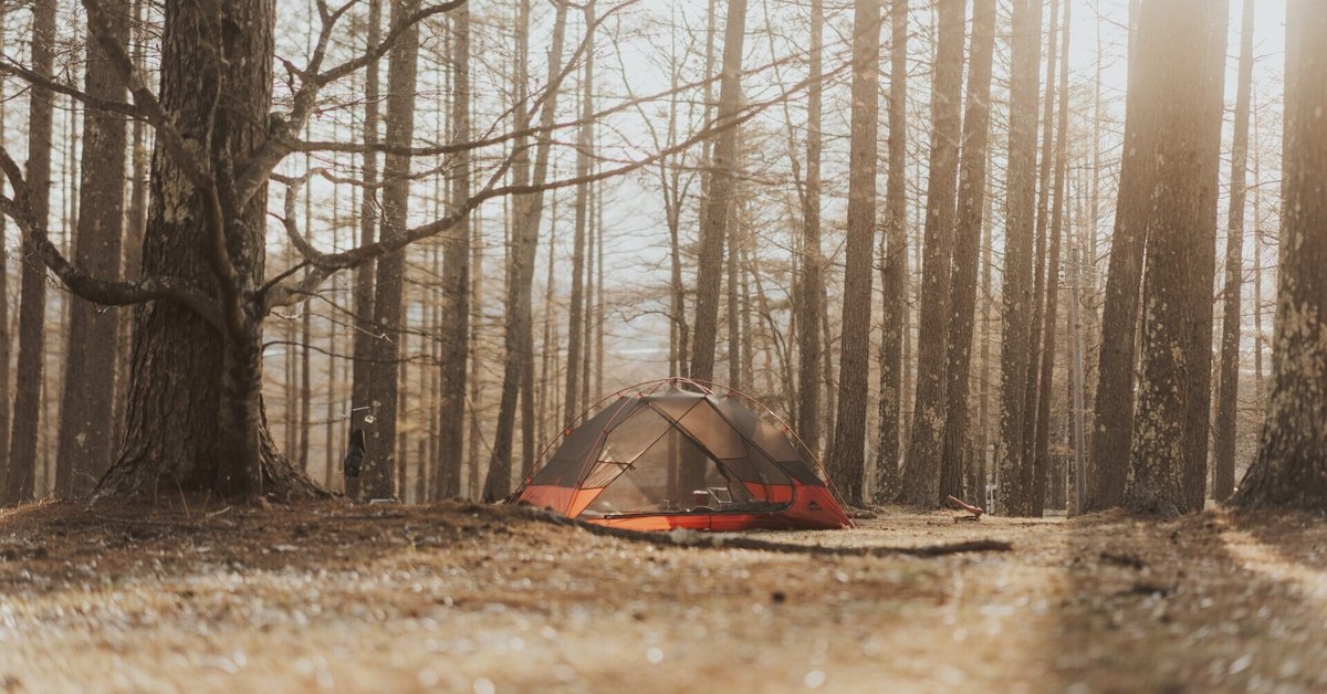 実例アリ センス無くてもできる！キャンプで映える写真を撮影する”簡単”５つのコツ koeda'sファミリーキャンプ- エキスパート