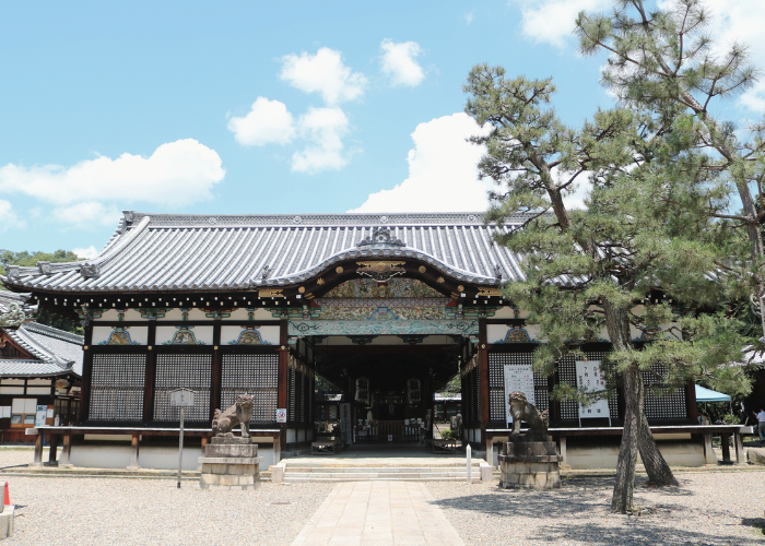 細輪に陰三つ割り菊家紋 Janpanese Family