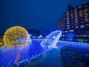 和歌山の夜を楽しむ！白浜の魅力2025 年のリアルなLemon8ユーザー体験