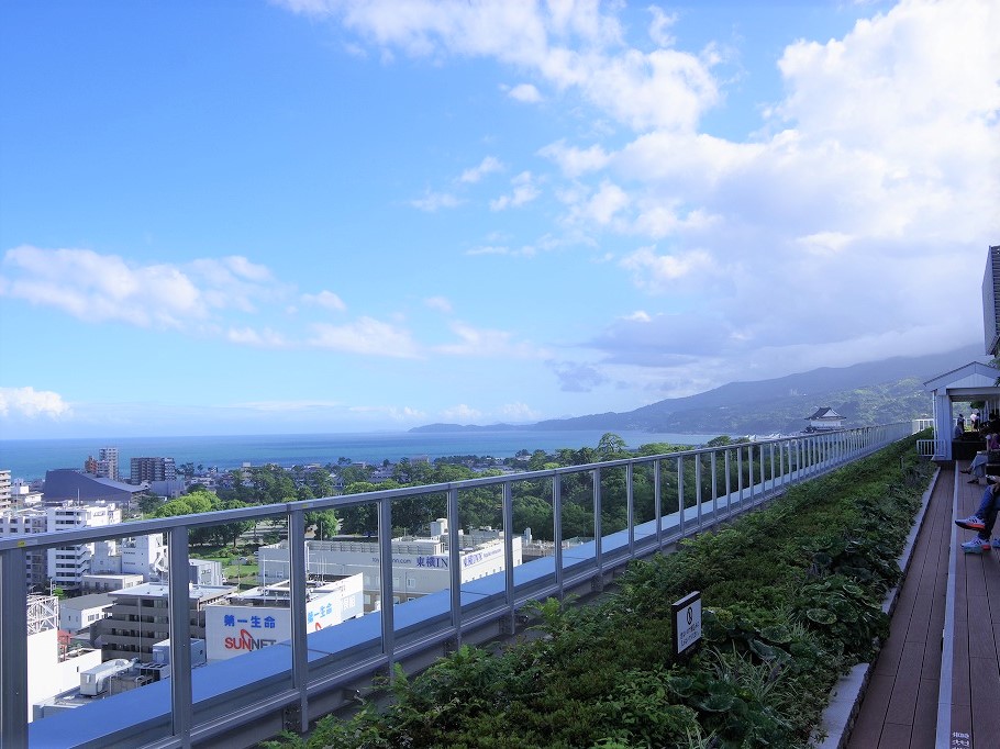 小田原駅の新名所、ミナカ小田原に行ってきました。城下町を模したグルメスポットは、映える空間の宝庫。小田原観光に行くなら、ここは絶対外せませんね。 小田原市パパレポ横浜・湘南で子供と遊ぶ - あそびい横浜・湘南