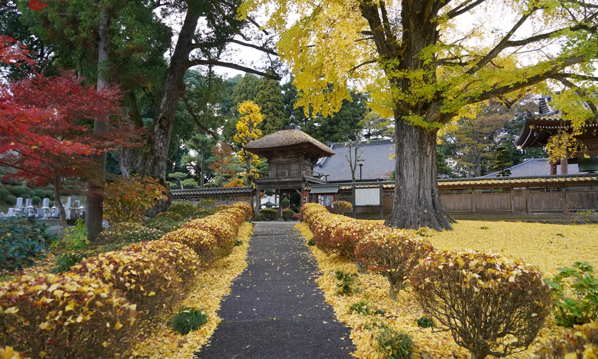 栃木・茨城紅葉巡り-3 もみじ寺 永源寺