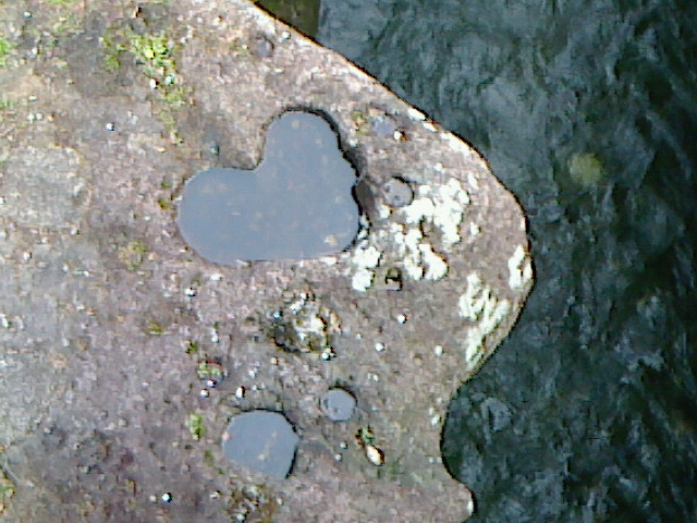 仙台の磊々峡を観光してきた バスでのアクセス・自然歩道を散策
