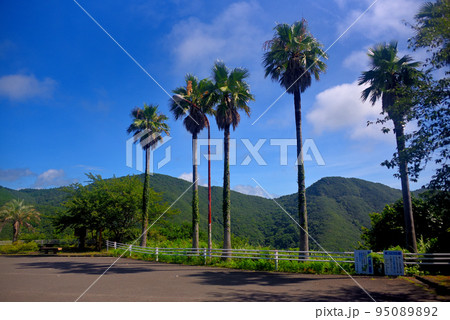 南阿波サンライン 後編 :