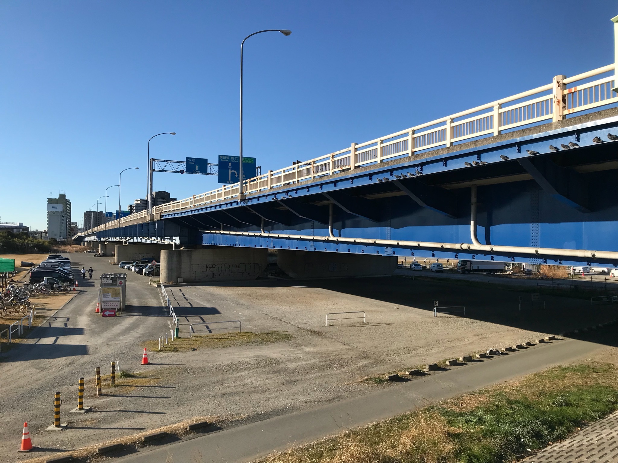 六郷橋の夜景の写真素材56590866- PIXTA
