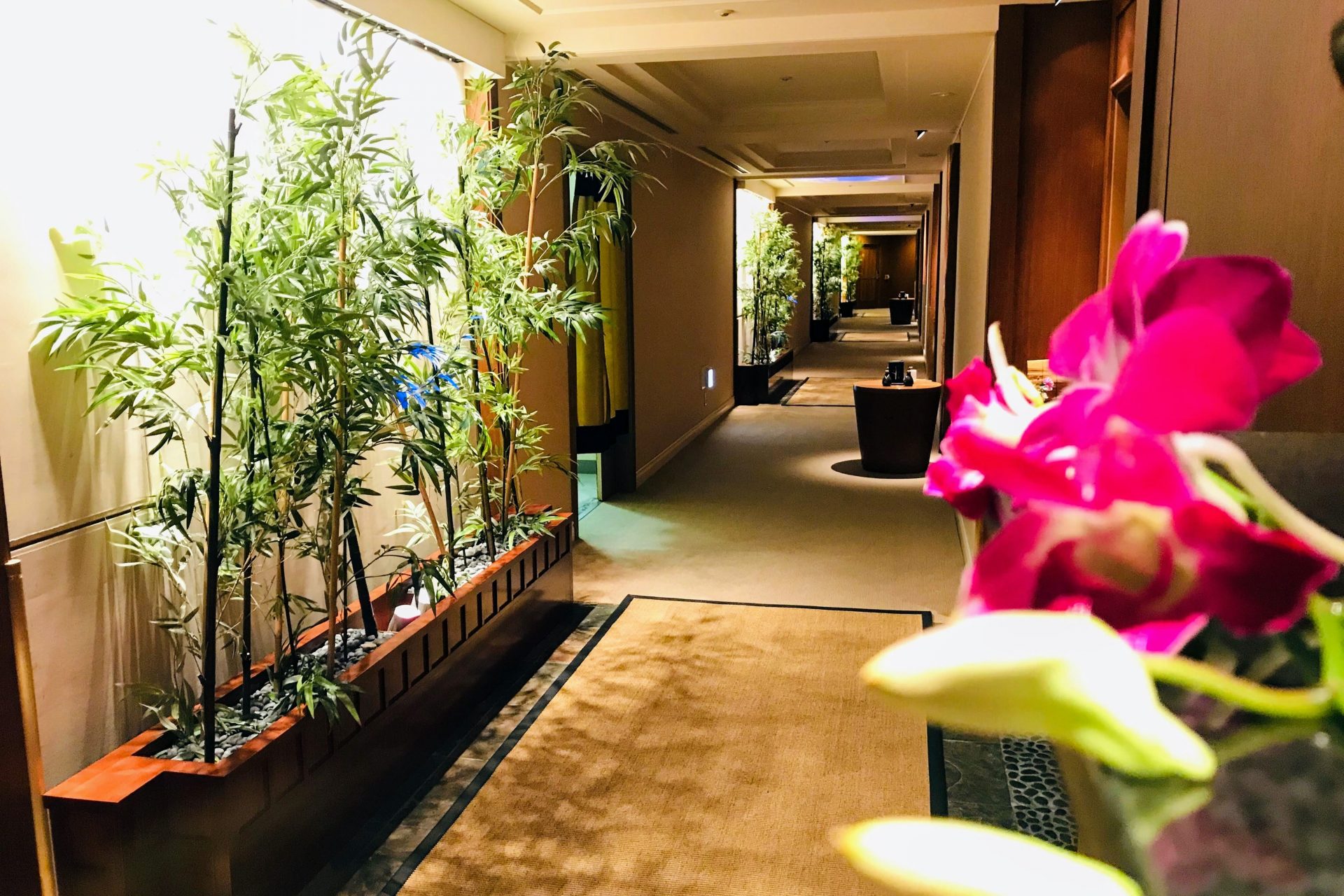 12 宮崎・鹿児島 2泊3日の旅 シェラトン・グランデ・オーシャンリゾート：温泉施設「松泉宮」せっかちOLの日本主要観光地を制覇する