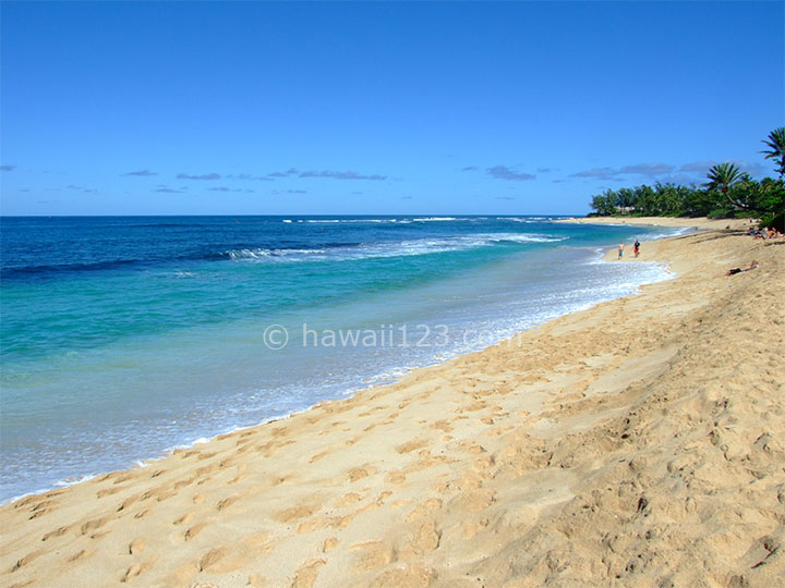 ハワイで見れるサンセットハワイ州観光局公式ラーニングサイト