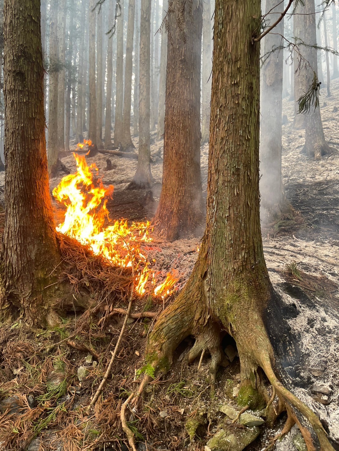 火焔山 新疆・味道 上野店 上野 中華料理