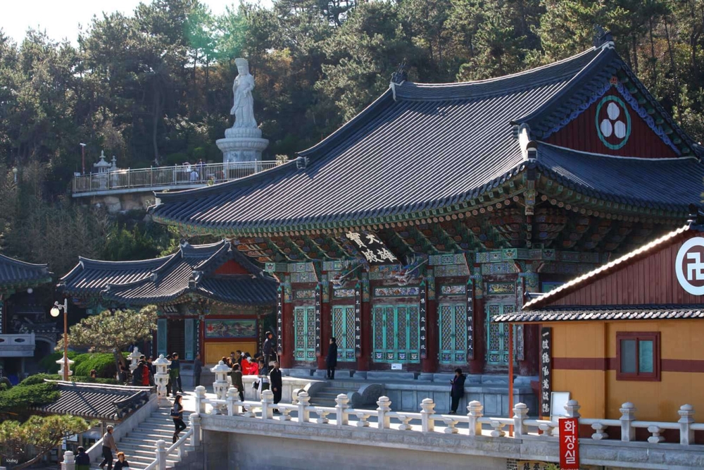 釜山 一日市内観光海東龍宮寺 & 海雲台ブルーラインパークスカイカプセル &