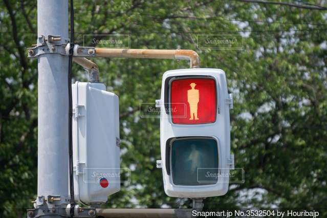 横断歩道の信号機・青 写真素材3066745- フォトライブラリ