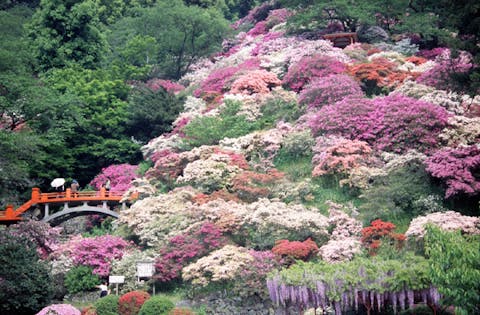 一般社団法人 鹿島市観光協会のクチコミ一覧 -