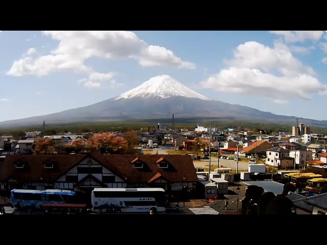 河口湖畔 北岸 の桜 山梨県