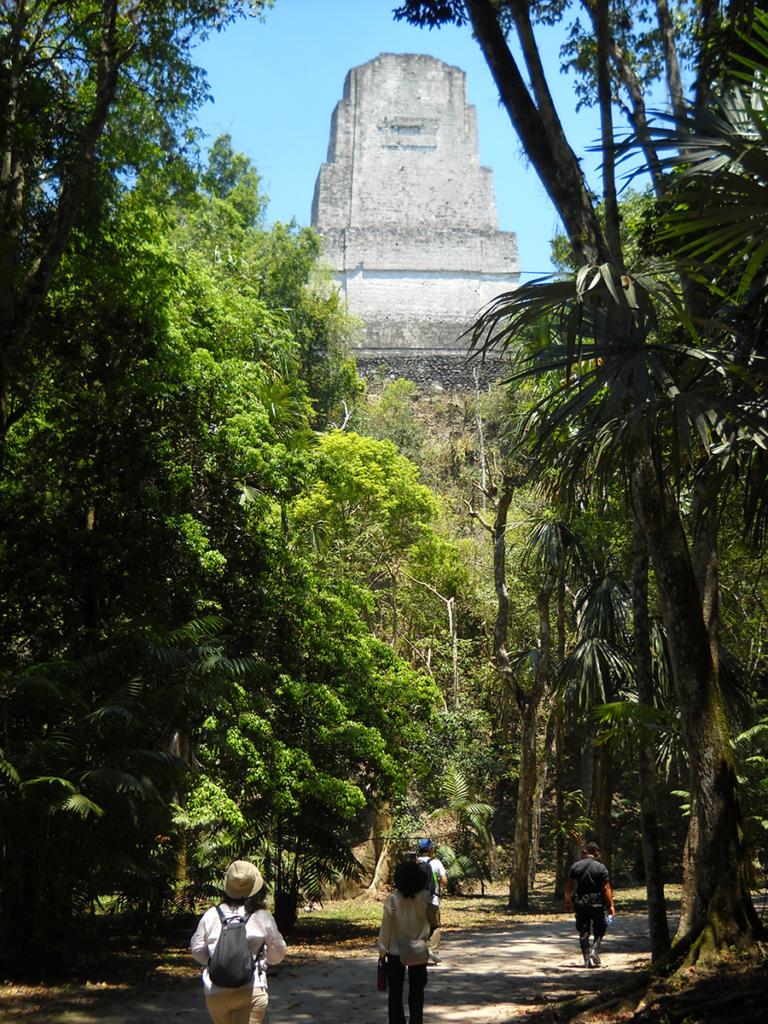 ティカル遺跡 チケット＆ツアーゲットユアガイドGetYourGuide