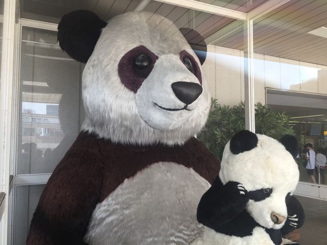 ＪＲ上野駅パンダ橋口と入谷改札