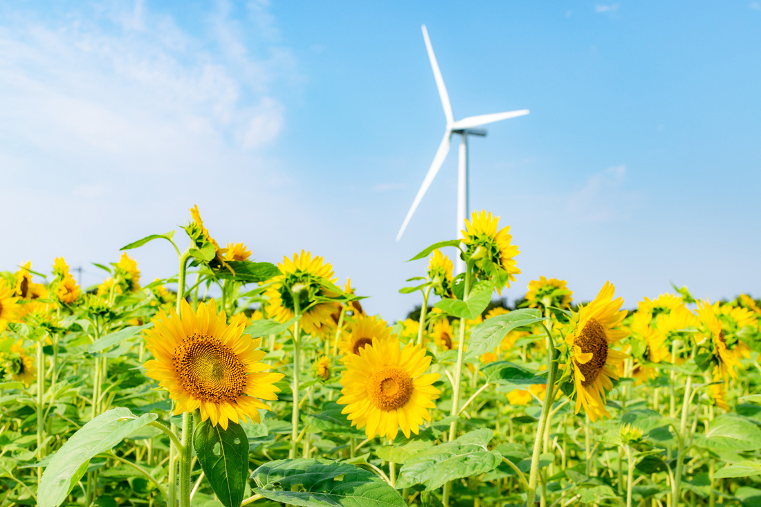 あわら夢ぐるま公園の風車 写真素材5207982- フォトライブラリー photolibrary