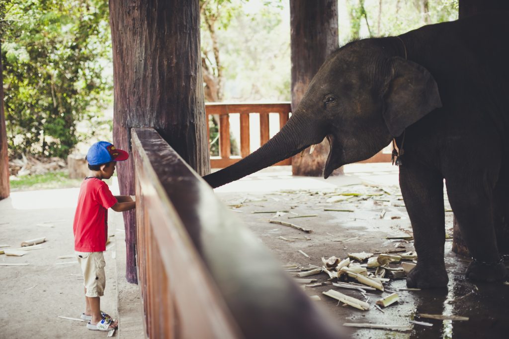 マニラ旅行 東南アジア最大のスラムで子供とボランティア活動Volunteering with