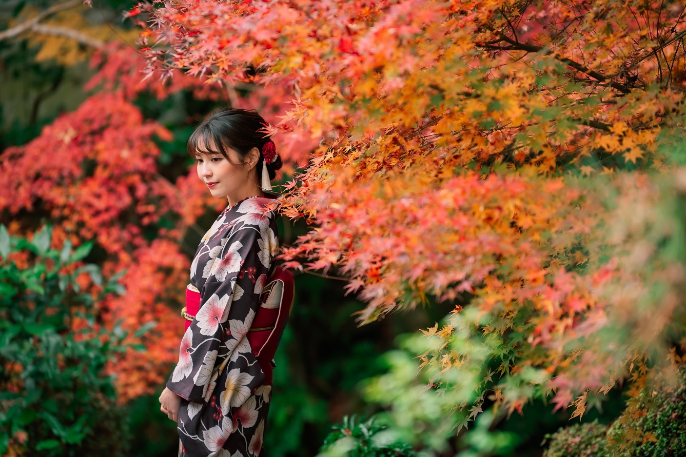 おすすめ紅葉スポット 水面に映る心経宝塔と紅葉が織り成すあでやかな秋景色 旧嵯峨御所