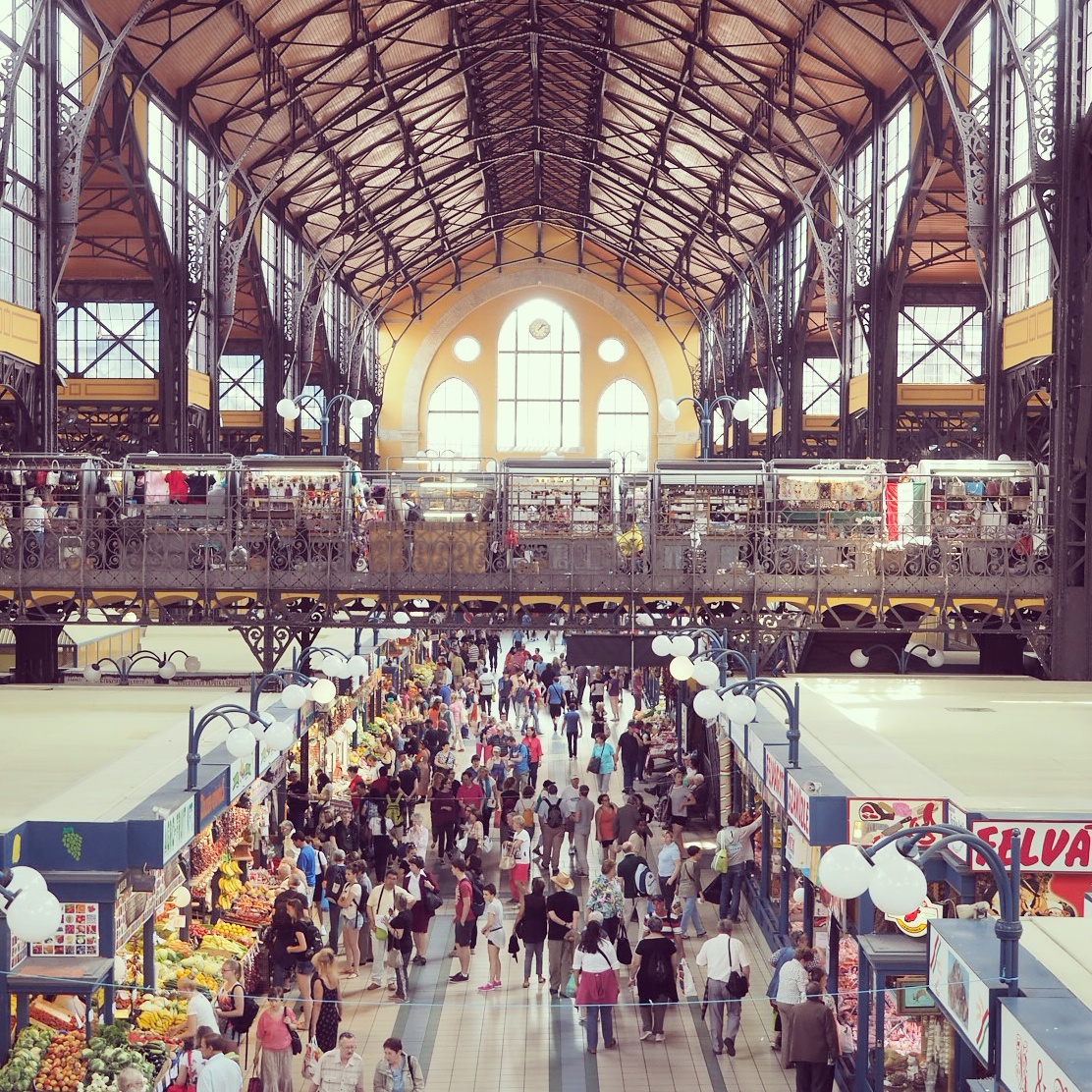 2025年 中央市場ホール -