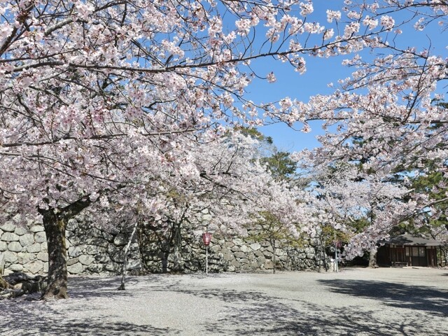 松阪城日本百名城城トリップ