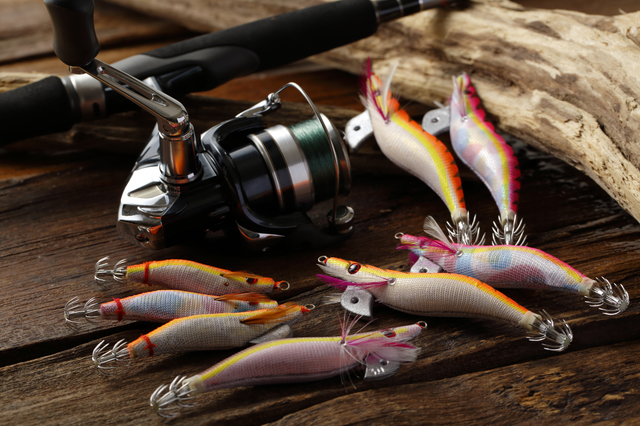 上野漁港〜初島漁港エギングでランガン、アオリイカとコウイカ和歌山県 上野漁港 エギング コウイカ陸っぱり