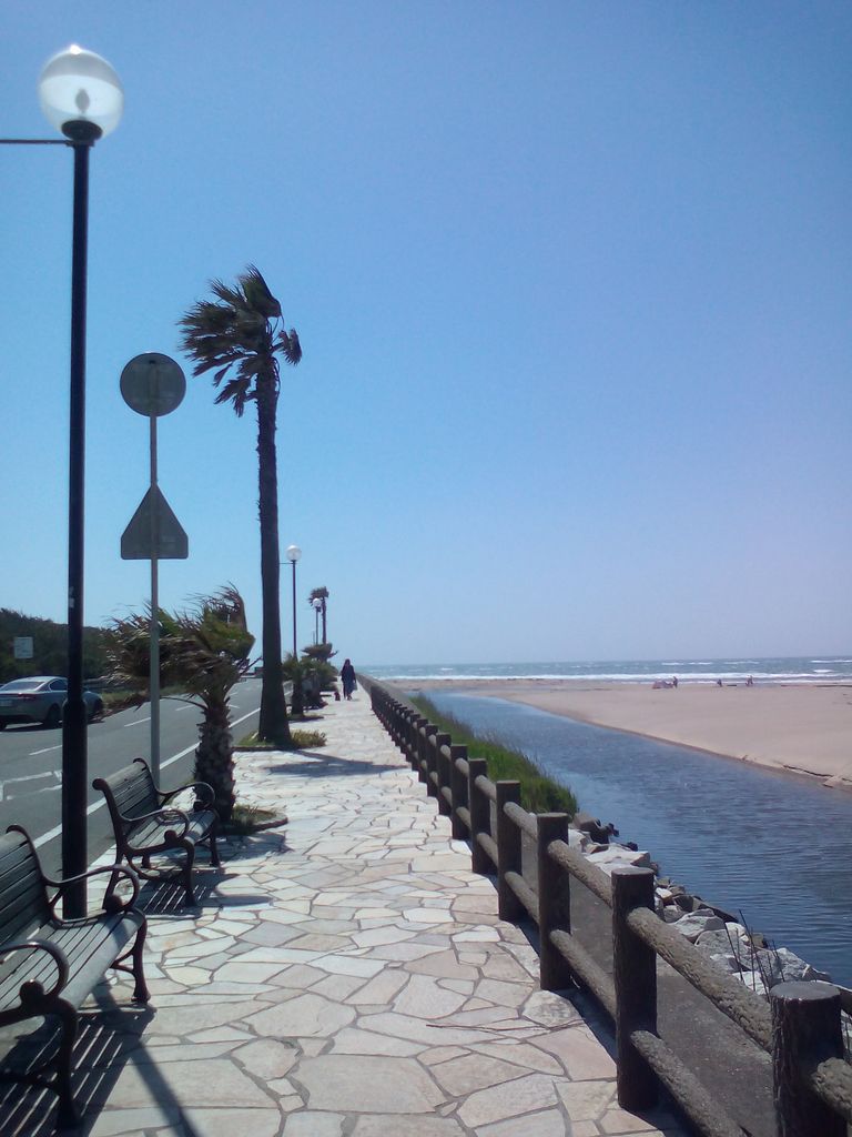 海の公園 海水浴場子連れのおでかけ・子どもの遊び場探しならコモリブ