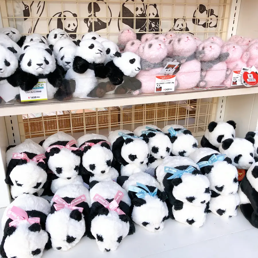 2024年夏最新 上野駅HANAGATAYAで買えるパンダのお菓子のお土産6選！JREメディア
