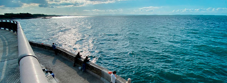 夜釣り 水橋フィッシャリーナ- gooブログはじめました
