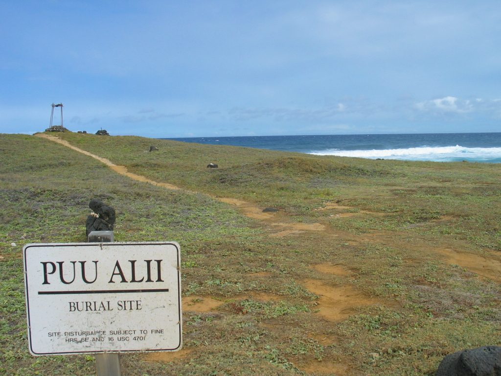 アメリカ南部 ～ヘミングウェイも愛したキーウエスト～ セブンマイルブリッジも走行・陽光輝くフロリダへ！！2025年4月更新- クラブログ～スタッフブログ～クラブツーリズム