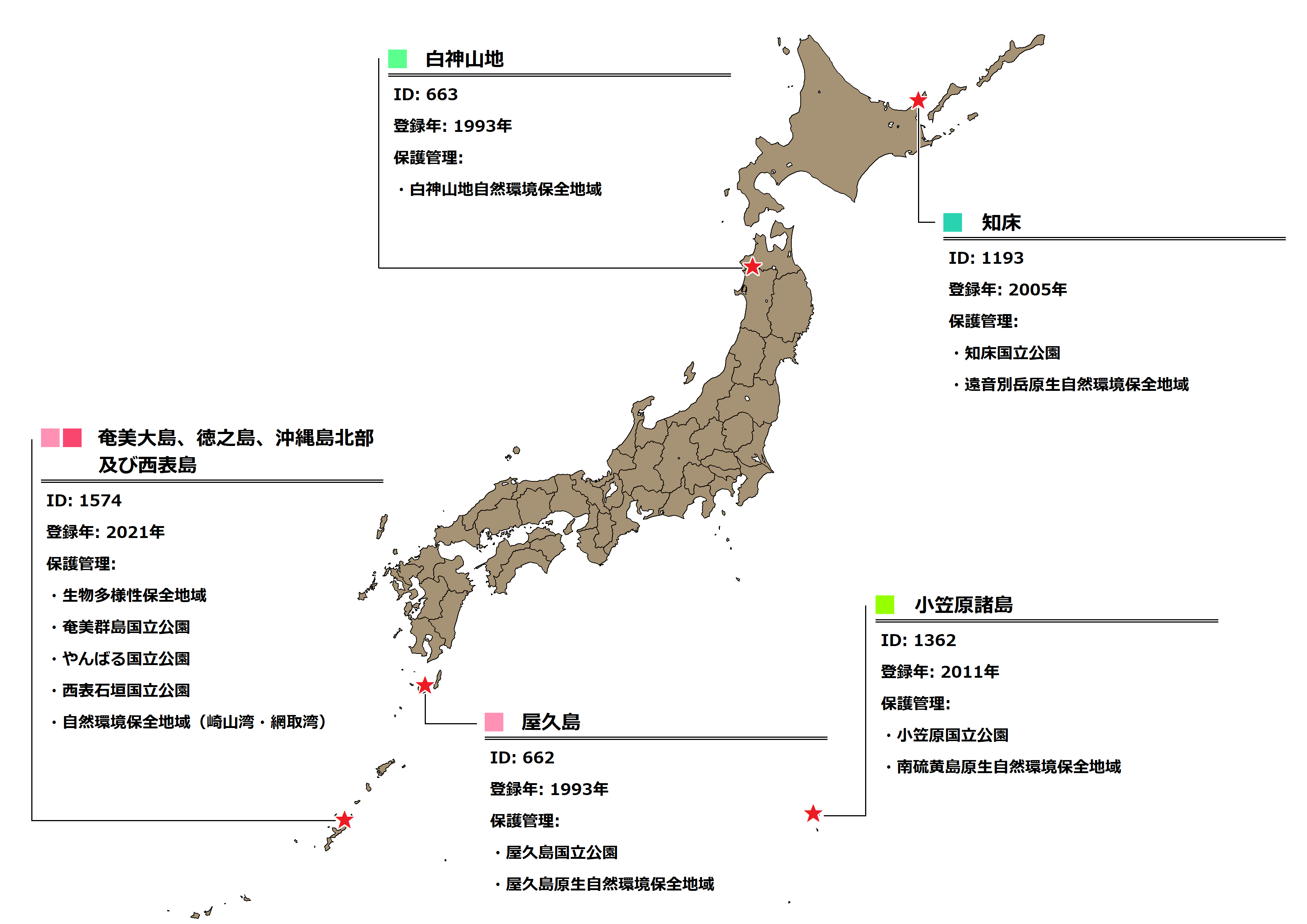 奄美大島ダイビングガイド～ダイバーがハマる10の理由～国内エリア情報Marine Diving web マリンダイビングウェブ