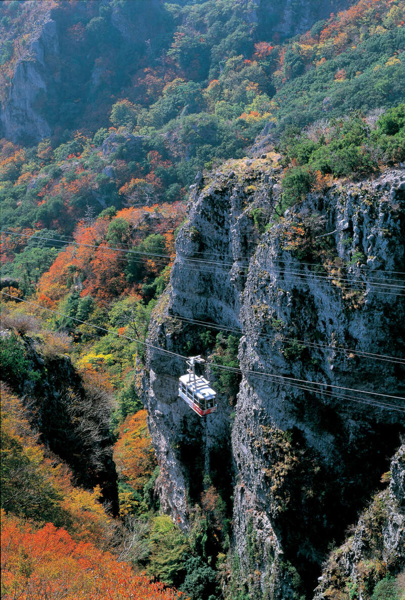 兵庫旅行・ツアー HIS国内旅行