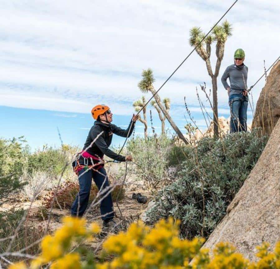 ジョシュア・ツリー国立公園 ～宇宙のどこか別の星みたいな奇妙な景観～ 1