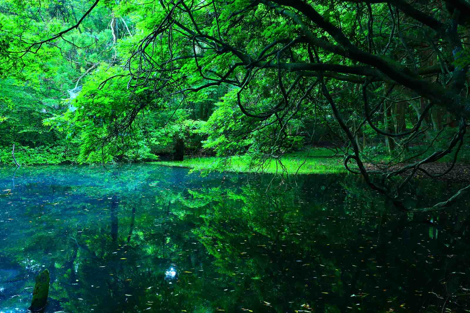 手ぶらでお出かけ！電車で日帰りできる関東の観光スポット10選 - Tripa