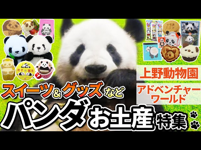 上野駅限定お土産「パンダのうんこ」1日200個完売？！どうぶつのこと。～動物がもっと好きになる動画紹介サイト～