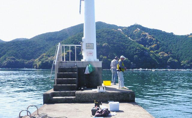 尾鷲漁港の釣果 - アングラーズ釣果600万件の魚釣り情報サイト