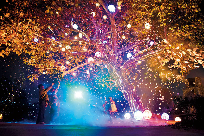 西武園ゆうえんちプールの楽しみ方2025 年のリアルなLemon8ユーザー体験