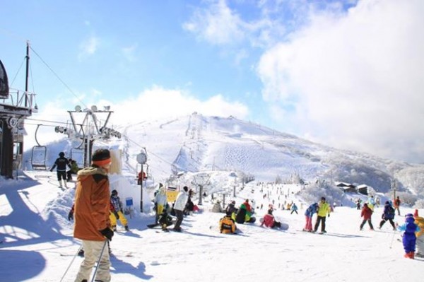 サマーランド - びわ湖バレイ スキー場 びわ湖テラス
