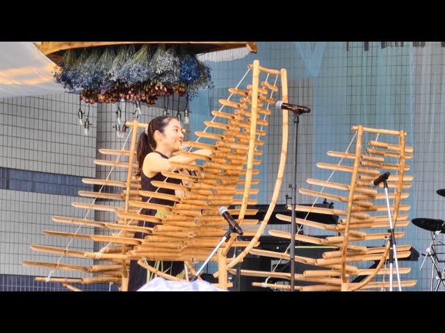 11 22 秋の演奏会～ベトナム民族楽器「トルン」の音色を楽しむ