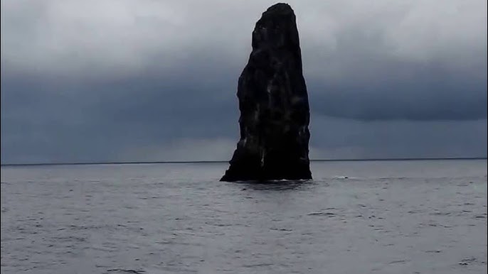 豆南諸島クルーズ１９９８