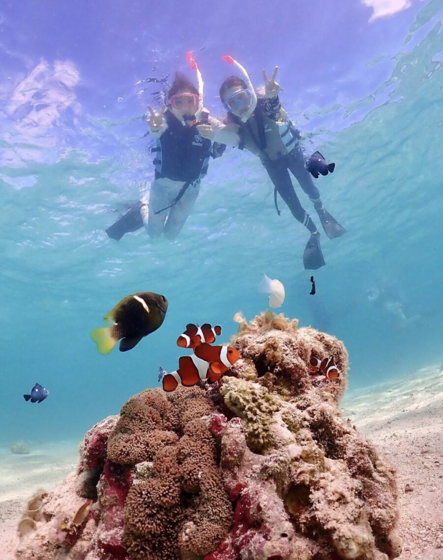 スキンダイビング - 高知県柏島ダイビングショップ7me