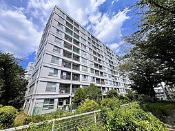 黒目川 みどころ- たまろくナビ