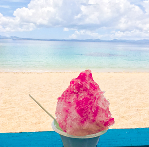 宮川が再び大蛇行 ウミガメ来やすい浜に 大泊海水浴場