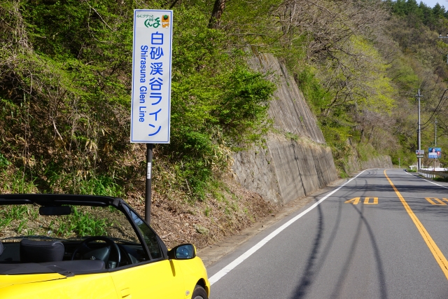 紅葉情報 - 観光案内